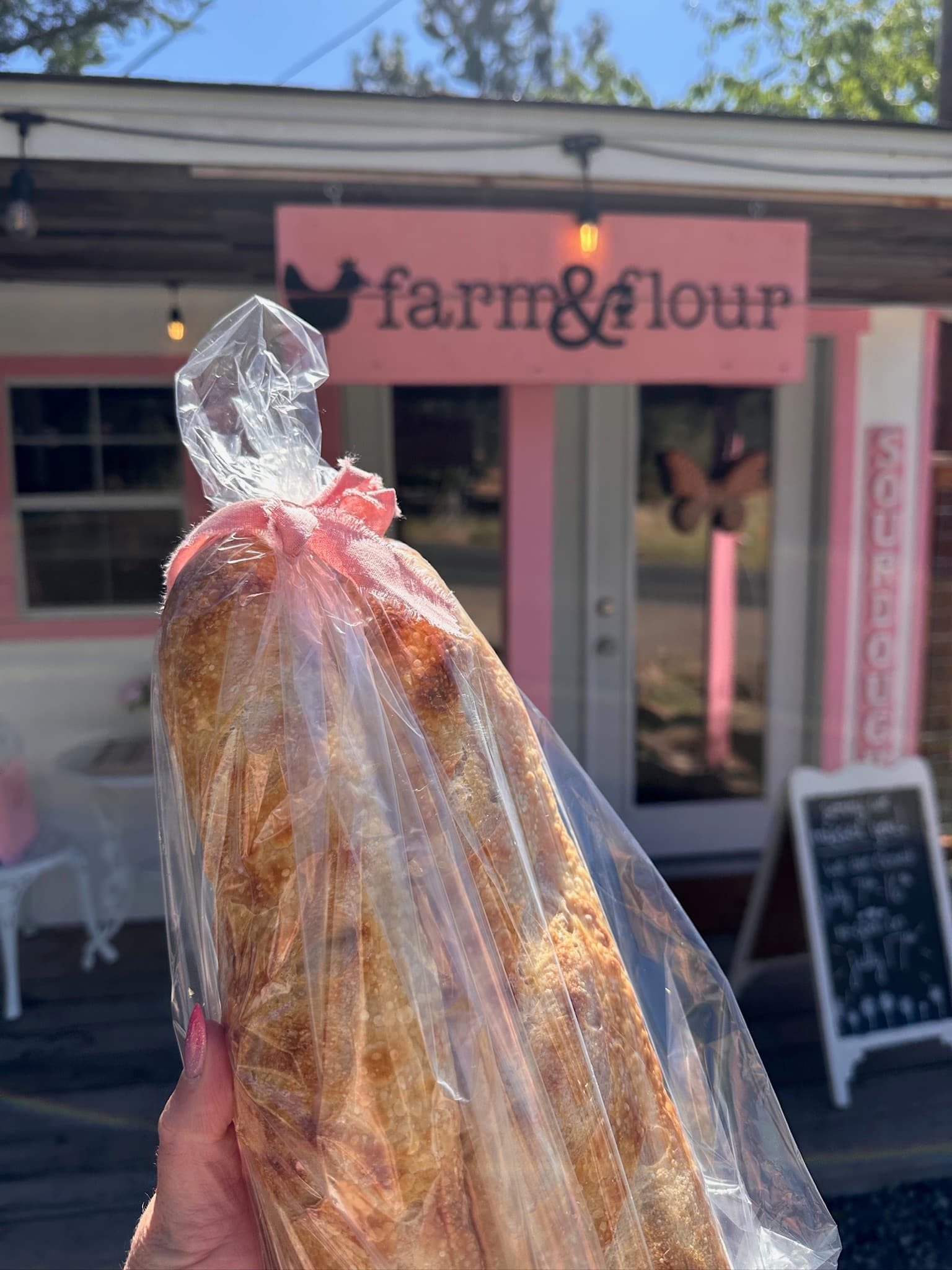 Fresh baked sourdough loaves cooling on racks